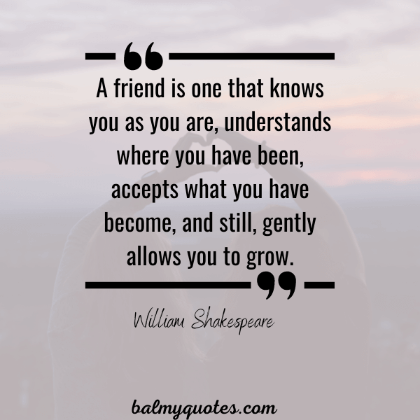 friends quotes
