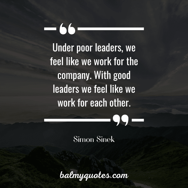 simon sinek quotes