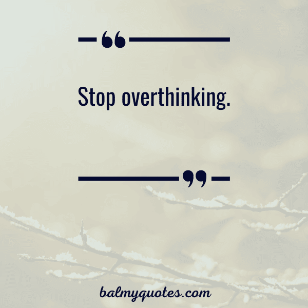 Positive Vibe Quotes To Lighten Your Day