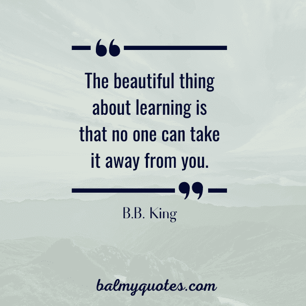 motivational study quotes