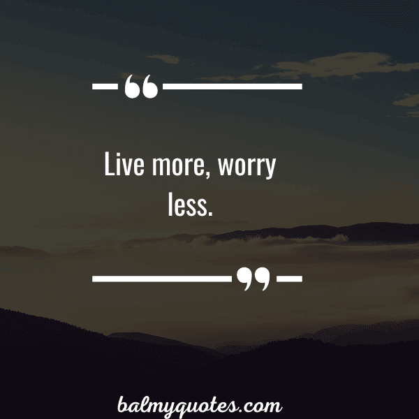 Positive Vibe Quotes To Lighten Your Day