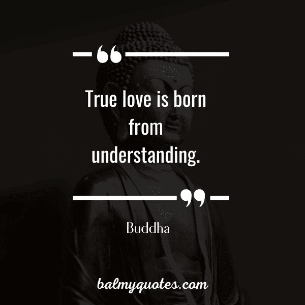 love quotes by buddha