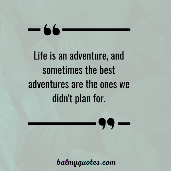 QUOTE ON WHEN THINGS DON'T GO AS PLANNED