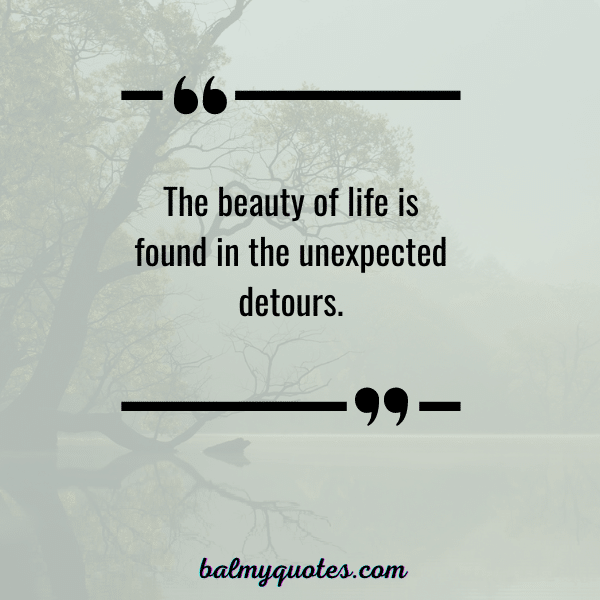 QUOTE ON WHEN THINGS DON'T GO AS PLANNED