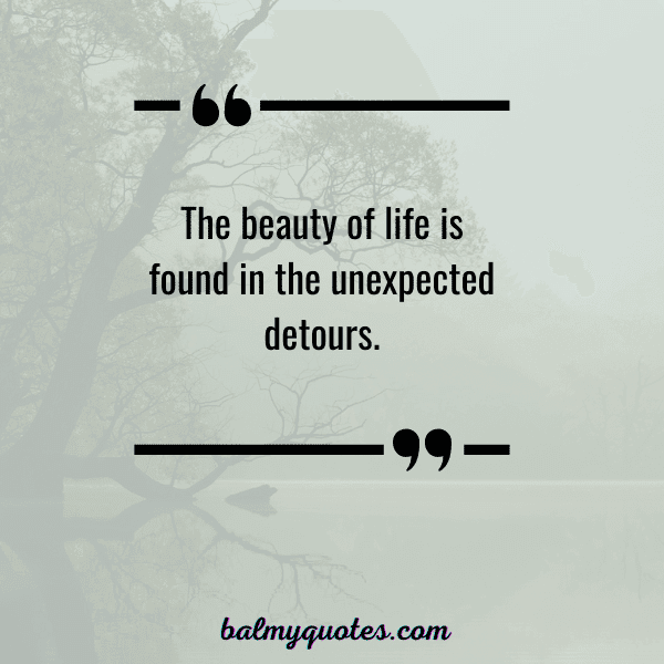 QUOTE ON WHEN THINGS DON'T GO AS PLANNED