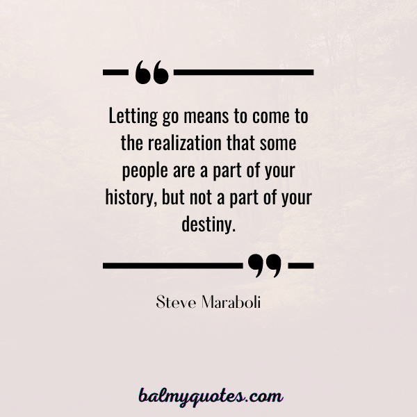 QUOTE STEVE MARABOLI