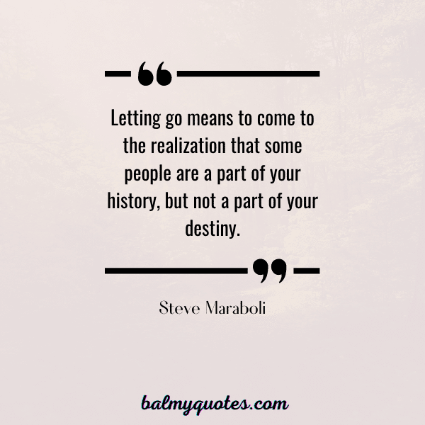 QUOTE STEVE MARABOLI