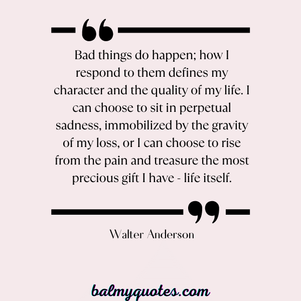 WALTER ANDERSON QUOTES- LIFE IS FULL OF SURPRISES QUOTES
