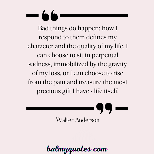 WALTER ANDERSON QUOTES- LIFE IS FULL OF SURPRISES QUOTES