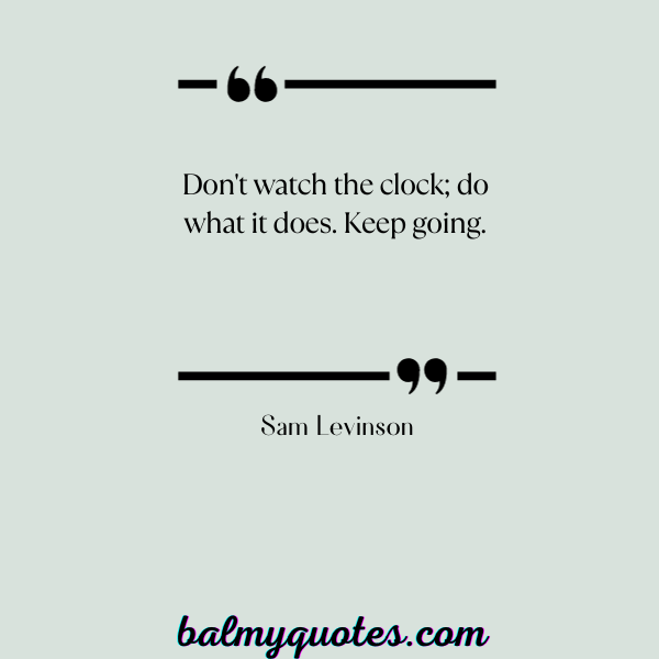 Sam Levinson Quote