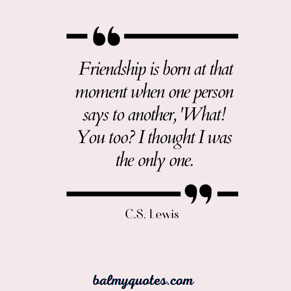 C.S LEWIS - BEST FRIEND WALKING TOGETHER QUOTE