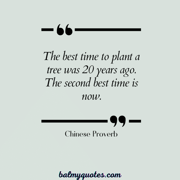 CHINESE PROVERB -QUOTES THAT HI T HARD