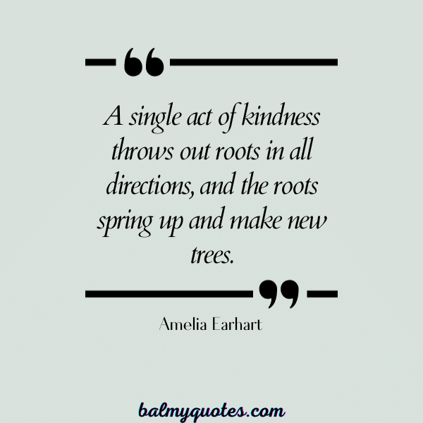 Amelia Earhart QUOTES