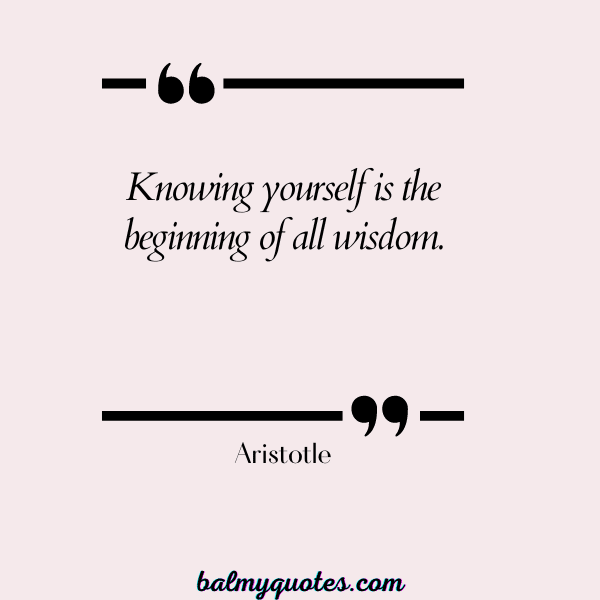 Aristotle - reality check quotes