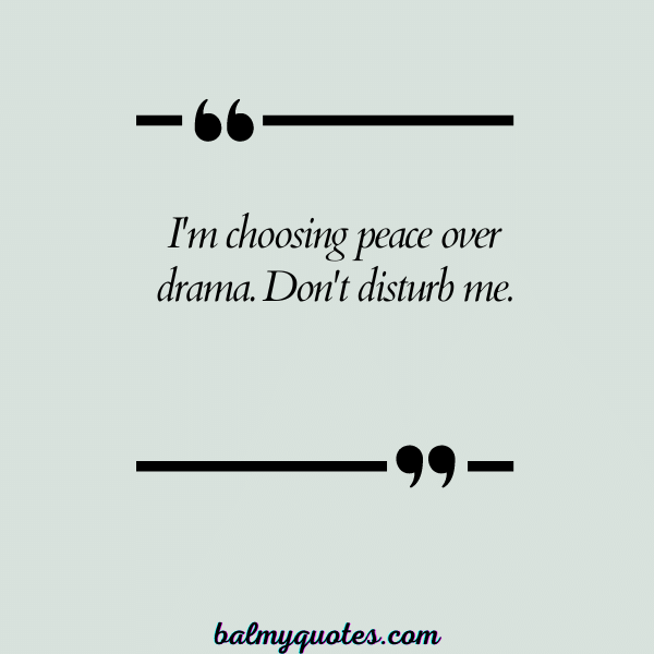 I DO NOT WANT TO TALK TO ANYONE QUOTES 24
