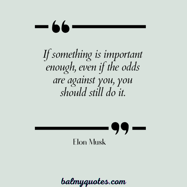 KEEP PUSHING QUOTES - Elon Musk