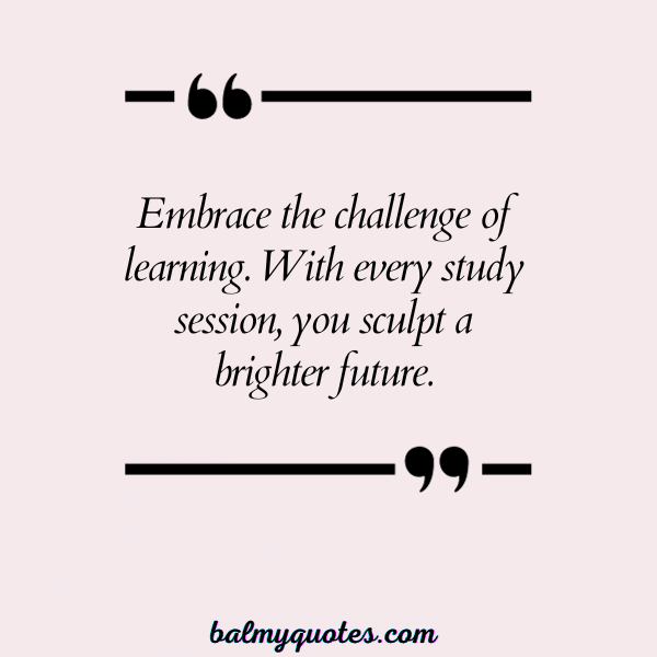 STUDY QUOTES FOR STUDENTS 4