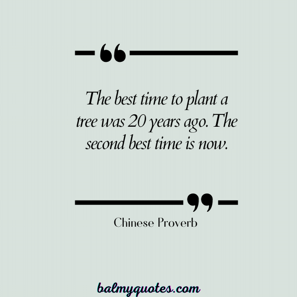 Chinese Proverb