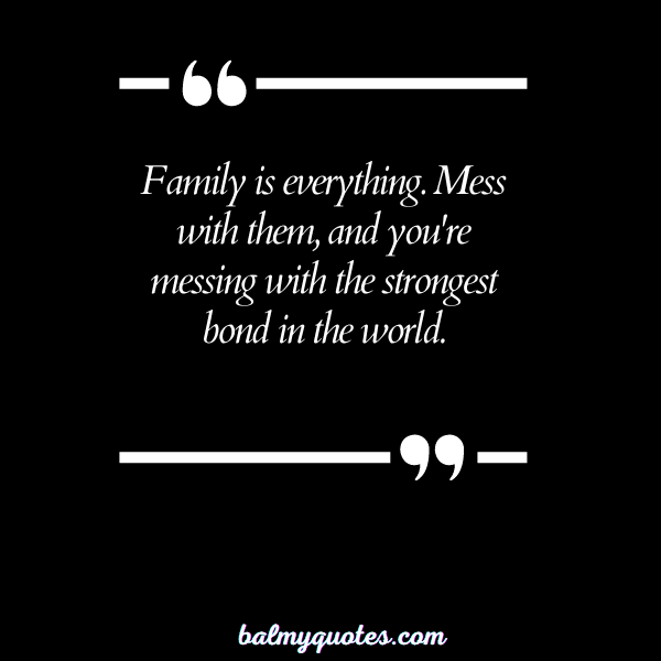 DON'T MESS WITH MY FAMILY QUOTES 5