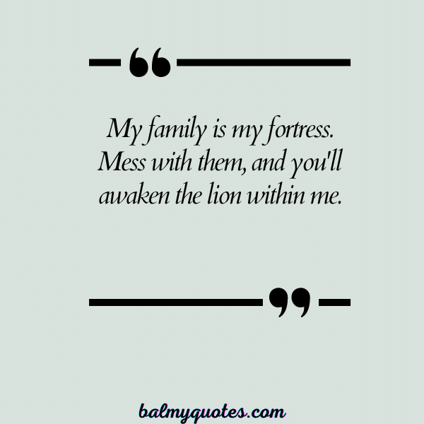 DON'T MESS WITH MY FAMILY QUOTES 6