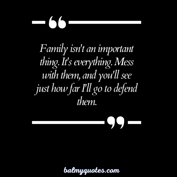 DON'T MESS WITH MY FAMILY QUOTES 8