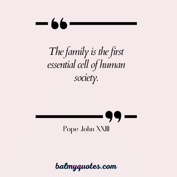 ON'T MESS WITH MY FAMILY QUOTES Pope John XXIII