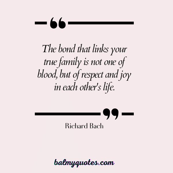 DON'T MESS WITH MY FAMILY QUOTES Richard Bach