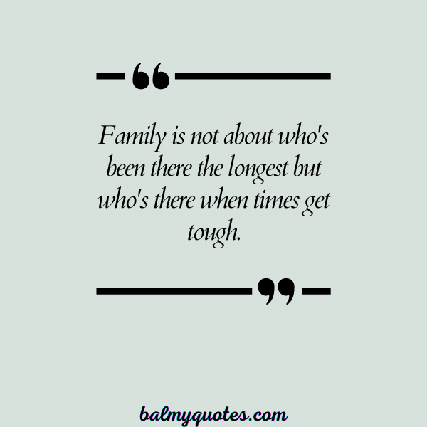 FAKE FAMILY QUOTES 6