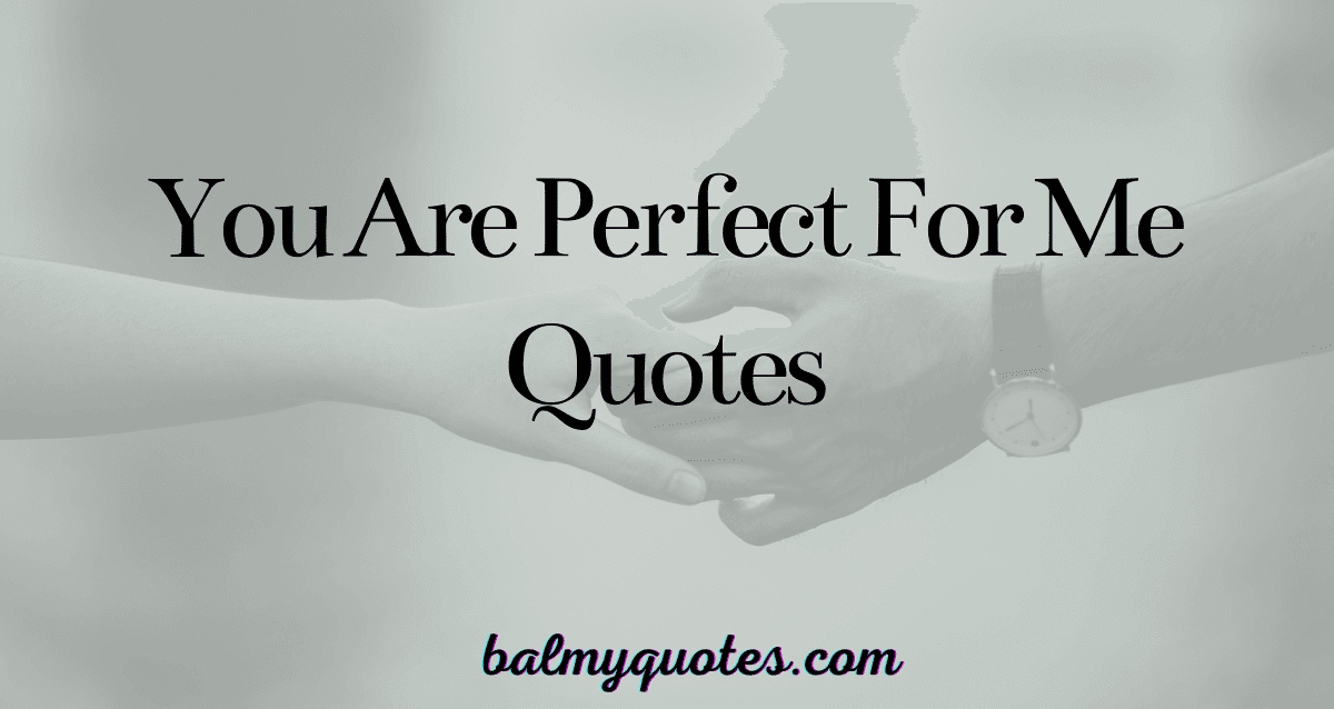 YOU ARE PERFECT FOR ME QUOTES