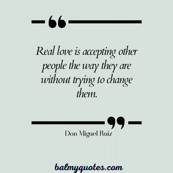 Don Miguel Ruiz