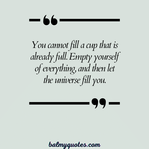 _quotes about EMPTINESS - 27