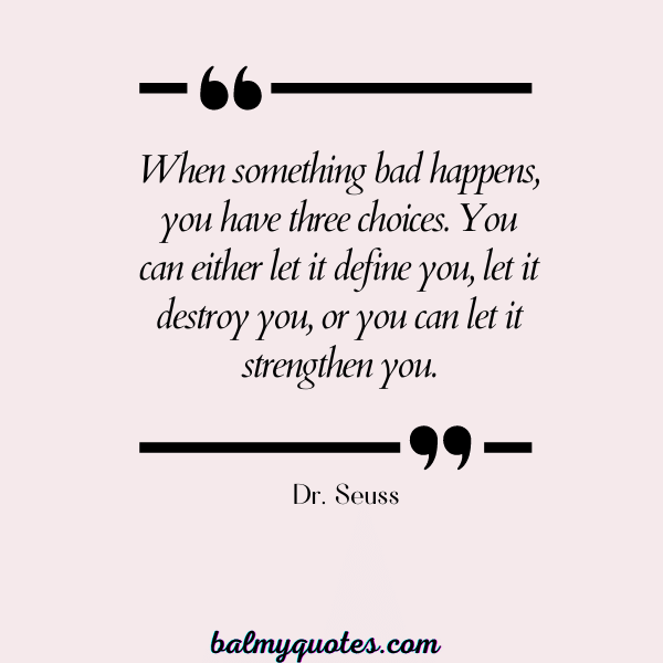 quotes on being accused of something you didn't do - Dr. Seuss