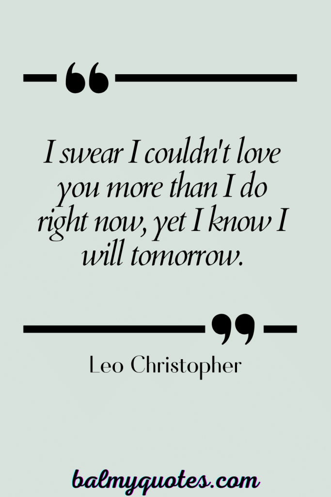 SOULMATE QUOTES - Leo Christopher