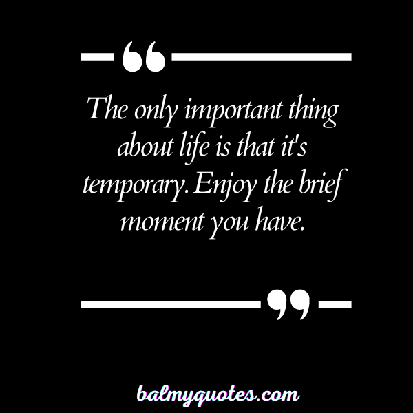 everything is temporary quotes 6