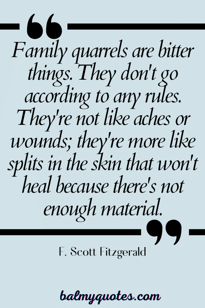 FAMILY ISSUES QUOTES F. Scott Fitzgerald