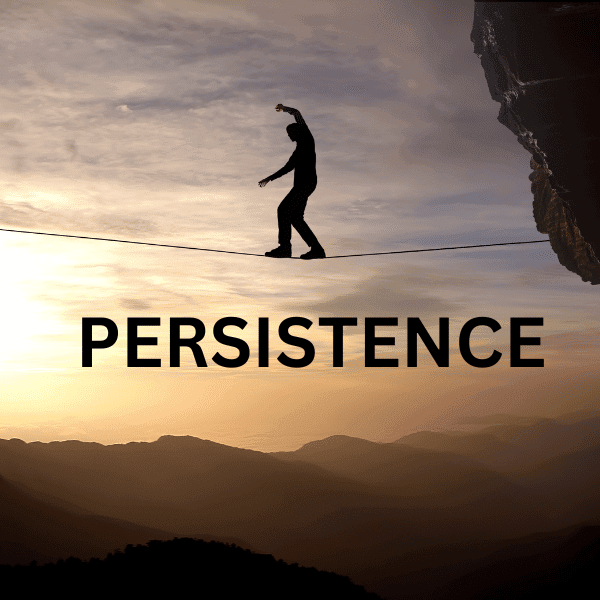 PERSISTENCE