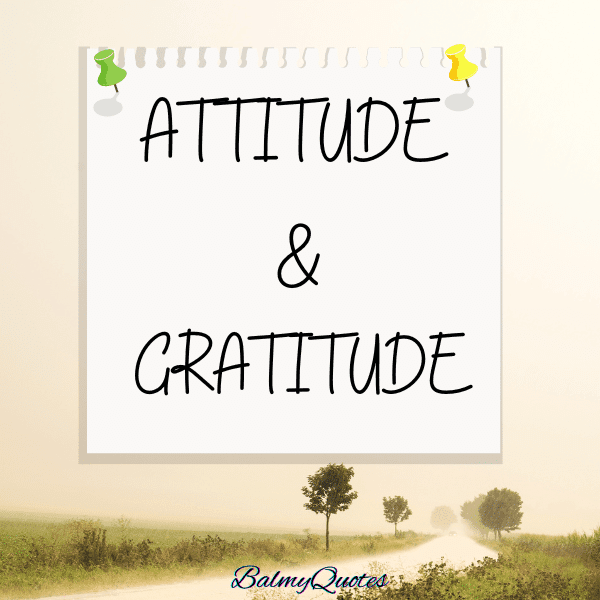 attitude & gratitude