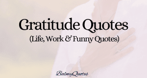 gratitude quotes