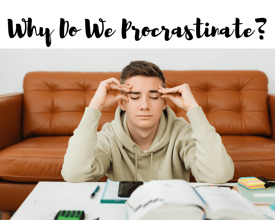 Why Do We Procrastinate