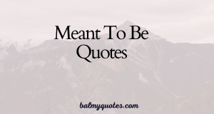 meant to be quotes